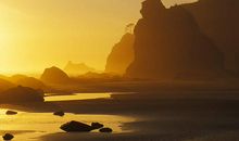 11月财喜两旺，富贵双全，运势最佳的四大生肖