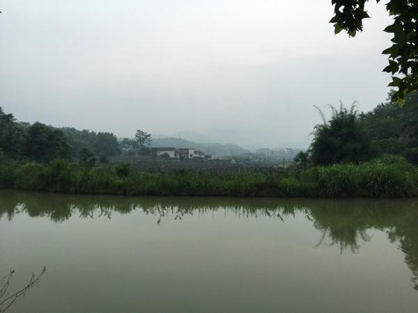 风水案例：风水大师王君植湖南看风水金星宝地，长沙衡阳风水培训弟子随师学习 4