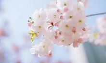 “懂你的人无需解释”，这4生肖不在乎别人的眼光，活出自我