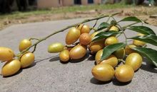 善良才是最好的风水