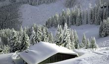 1号起好运降临，不愁没钱花，日子精彩的四大生肖