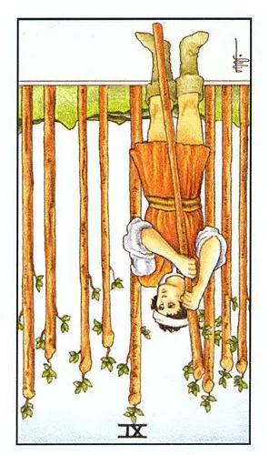 【1101】走走停停，舒适圈时大时小，路有宽有窄，记得时刻留意环境。 7