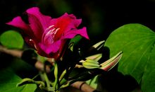 未来俩月财运势头越来越高，行大运，财神保佑，四属相求财路通顺