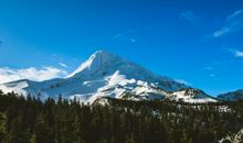 9月闷声发大财，遇见贵人，踢开小人，事业发展顺利的生肖