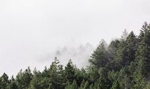 未来一月贵人入命，事业红如火，横财大发，大富大贵的属相