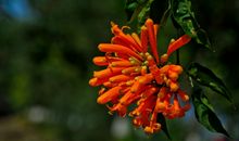 11月8号开始财运爆发，财星高照，偏财运极其旺盛的四属相