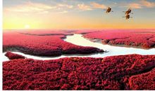 2020年属鼠人本命年的人们可以戴貔貅祈福吗？