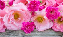 未来15天菩萨垂福赐财，4属相欢天喜地过年，顺顺利利发大财