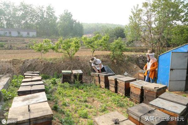 风水师罗桂元：家居风水知识大全，居家必看，简单必学…… 10