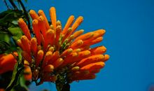 11月开始一扫之前的霉运，财运爆棚，吉星高照，发财享福的四属相