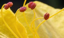 未来7天，天降洪福，4属相只富不穷，风生水起，坐享荣华富贵