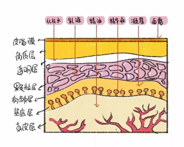 美物 | 一张干净的脸，是女人最好的风水 10