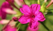 福星照耀的4属相，未来两个月财发不停，一路旺到年底，收获满满