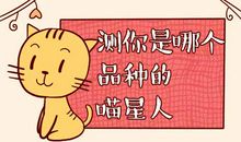 趣味测试：测测你是什么品种的猫？