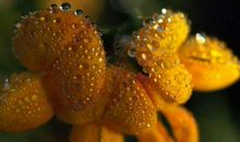 财富如运，喜事不绝的生肖，2020年运势一路向前冲，财情双得