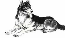 10月23号努力接福，事业大刀阔斧，金银赚个够的四生肖