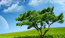 11月家业兴隆，万事顺心，大运将至的四大生肖