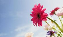 11月上旬这4大生肖要偷乐了，财运逆天，好运爆发，打开的人有喜