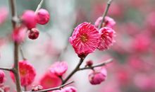 10月23号起，上有横财，下有良缘，喜事连连的三大星座