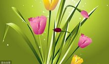 大器晚成的3生肖，现在不被看好，但是迟早让人刮目相看