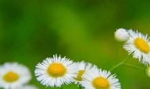 把老婆放在首位的3生肖男，结婚越久越依赖老婆，你上榜了吗？