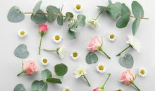 善于“征服”男人的3生肖女，婚后管得住老公，让老公乖乖听话