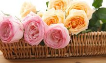 这3生肖女越老越有福气，生下的子女懂事孝顺，晚年陪在身边