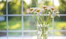 12月开始，好事接踵而至，桃花扑面而来的3大生肖