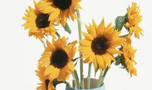 不能错过的招财风水小妙招