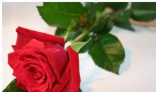 财路大开赚到！未来7天，3个生肖运势大旺，日子圆满