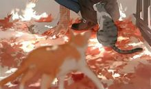 相处不累，久处不厌的四大星座！