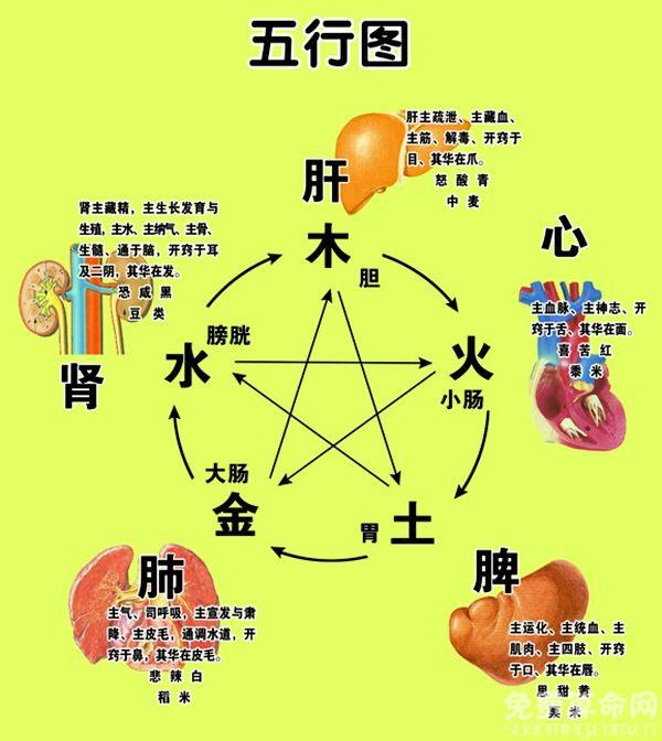 阴阳五行学说才是真正的科学理论