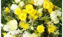 在2020年里鸿运当头，一年比一年富贵的3感到星座