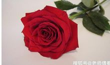 10月，运势红透半边天，终于争口气，人生大吉的生肖