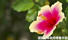 10月下旬，吉星萦绕，好运接踵而至，事业一片大好的4大星座！