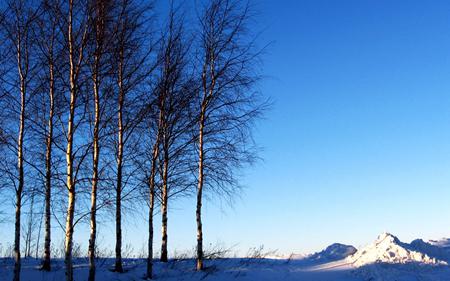 2019年小雪前一天不宜搬家吗,2019年小雪几月几日？(图文) 2