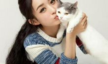 属羊，猪，虎的女人，婚姻幸福美满，全家飞黄腾达！