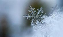 2019年大雪节气适合装修房子吗,2019大雪节气会下大雪吗？(图文)