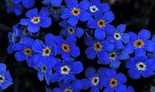 轻松发横财的生肖，11月3号起发家致富不用愁，往后享富贵荣华