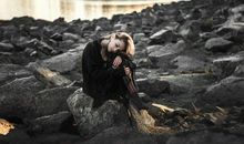 2019年小雪11月22日出生的宝宝是什么星座 性格命运好不好？(图文)