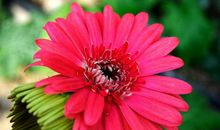 不懂心疼老婆的3大生肖男，一吵架就冷战，尤其是生肖马