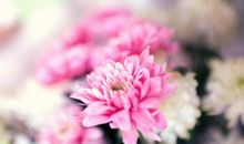 惹不起的四生肖有贵人撑腰，10月25号开始活出精彩人生，拥有锦绣前程!