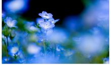 12星座10月20日运势，白羊座惹事，天蝎座大顺，水瓶座想不通