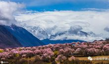 桃花测试：在你身边有没有高质量的桃花