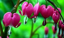 10月起运势顺遂，福禄顺心的生肖，月月赚大钱，发的都是大财