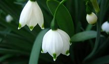 资本与实力雄厚，但注定无法自由的三大星座，挑重担，被人需要