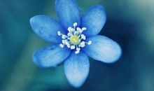 面对人生，品味与气质总是最高雅的三个星座，与众不同，惹人仰慕