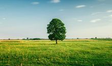 未来一周重新起航，阳光展现，打开成功的大门的星座