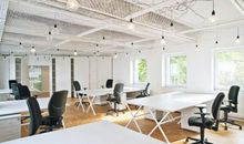 办公室放什么好风水 可以摆放水培植物