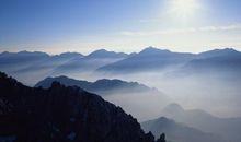 财神点名：必暴富！11月初运势枯树开花，外财数不胜数的3生肖